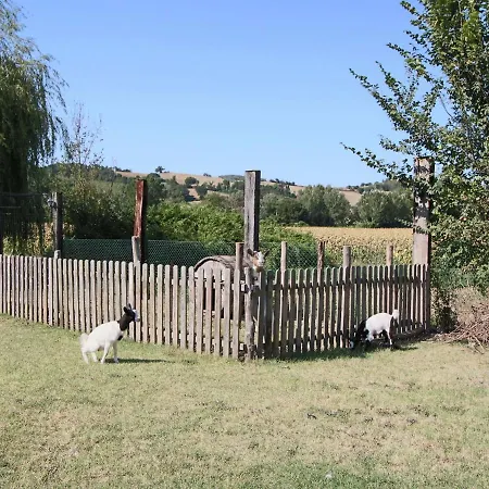 In With Pool And Sauna 度假居 托迪