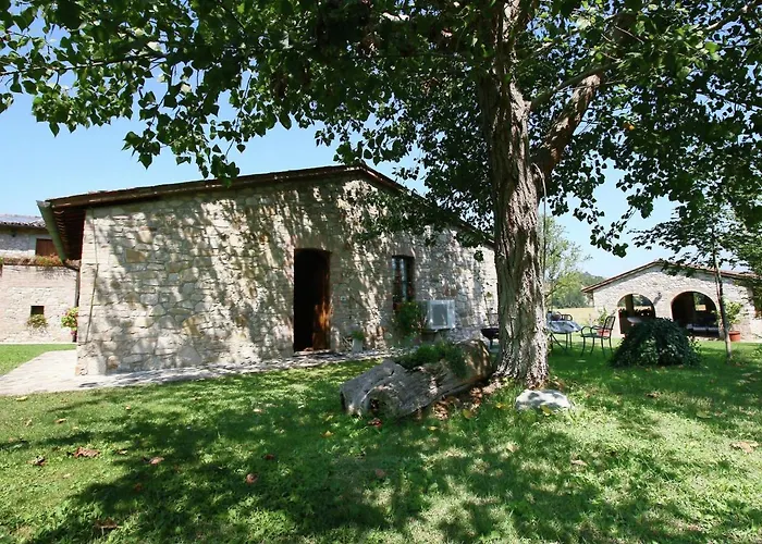 In With Pool And Sauna