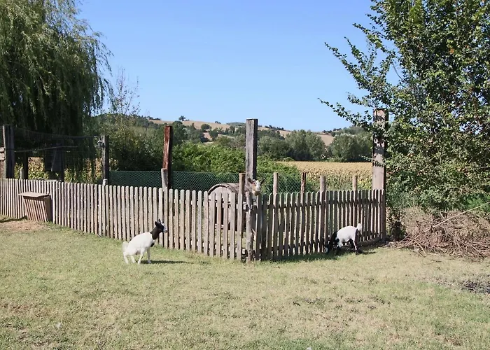 In With Pool And Sauna 別荘 トーディ